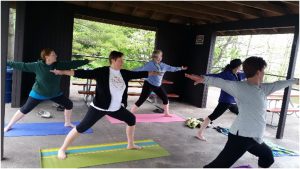 Hammock Yoga Ludington Retreat - Group Posing