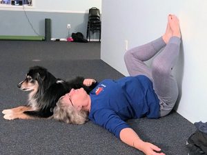 Sammy - Yoga Dog